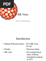 BK Virus 97 - 2003