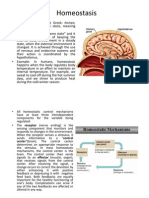 Homeostasis