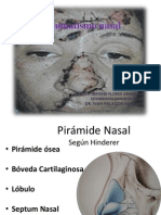 Traumatismo Nasal