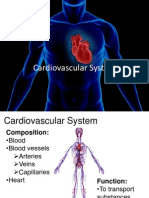 Cardiovascular System