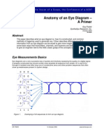 Eye Anatomy