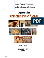 Fermentativa e Alcool - 2010