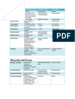 Musculos Inserciones y Inervacin Miembro Superior