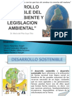 Desarrollo Sostenible Del Medio Ambiente