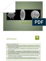 UD 2. Tema 3. División Euglenophyta