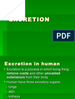 Excretion