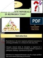 Role of Trace Minerals in Reproduction of Dairy Animal