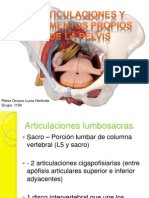 Articulaciones y Ligamentos Propios de La Pelvis