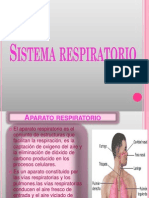 Sistema Respiratorio - Diapositivas 1