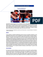 Boxeo Ejecuciones Técnicas