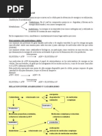 2 Resumen Metabolismo Celular NEW