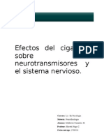 Efectos Del Cigarrillo Sobre Los Neurotransmisores y El Sistema Nervioso