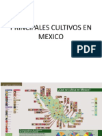 Principales Cultivos en Mexico