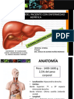 Hepatomegalia