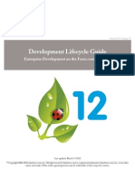 Salesforce Development Lifecycle