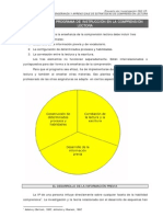 03 Programa Instruccion Comprension Lectora