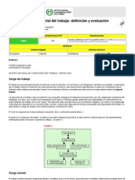 Carga Mental Del Trabajo