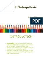 Rate of Photosynthesis - Plant Physio