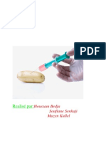 OGM (Genetically Modified Organisms) French