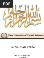TCA Cycle