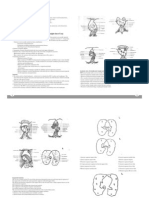 CT Chest: Indications