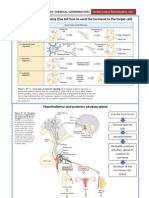 The Chemical Coordination Summary