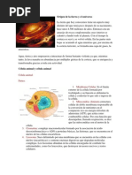 Origen de La Tierra y El Universo