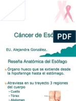 Cáncer Esofago