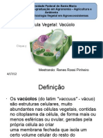 Célula Vegetal - Vacúolo - Renes Pinheiro