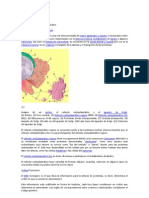 Retículo Endoplasmático