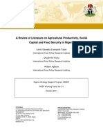 A Review of Literature On Agricultural Productivity, Social Capital and Food Security in Nigeria