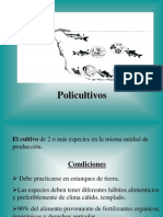 Policultivo