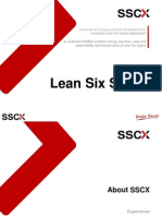 Lean Six Sigma ExBrie Pos