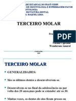 Seminário Do 3 Molar