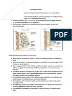 Histology of Mammary Glands