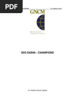 Seis Sigma Champions