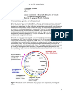 Fisiologia de Tomate