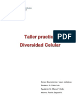 Informe Diversidad Celular