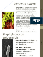 Staphylococcus Aureus