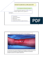 Inflamacion-LAS BASES MOLECULARES DE LA INFLAMACIÓN