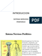 4 1 Sistema Nervioso Periferico