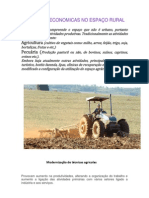 Atividades Economicas No Espaço Rural