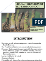 Chemical Characterization of Fermented Bambooshoot: Project By: Phurpa Dema Thungon 2008BB50035