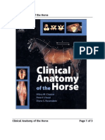 Clinical Anatomy of The Horse