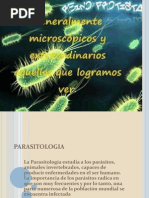 Anatomia de Los Protozoarios