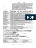 Worksheet - Heart & Circulation Key