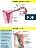 Embriología, Raul.