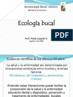 Ecosistema Bucal