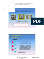 4c Fundamentos de Adsorcion Roberto Leyva