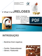 PASTEURELOSES